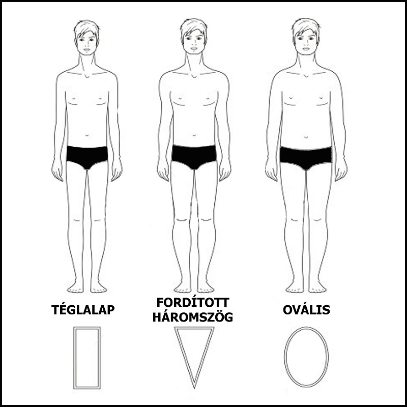 férfi testalkatok